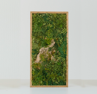 KOKE|枯れない苔アート 長方形 Mサイズ(全3色)