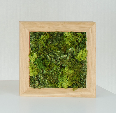KOKE | Never-Dying Moss Art Square, Small (3 Colors Available)