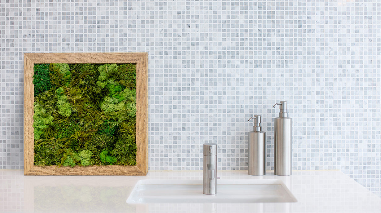 KOKE | Never-Dying Moss Art, Square, Medium Size (3 Colors Available)