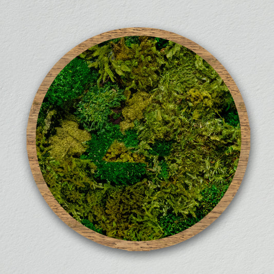 Round frame [dark green] *Customized product