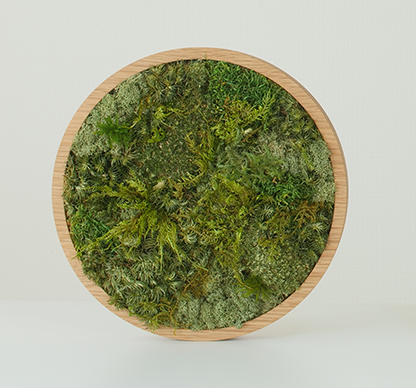 KOKE｜枯れない苔アート 丸型2Lサイズ（全3色）