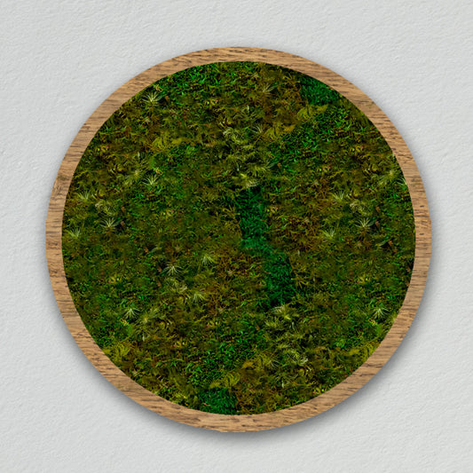 Round frame [light green] *Customized product