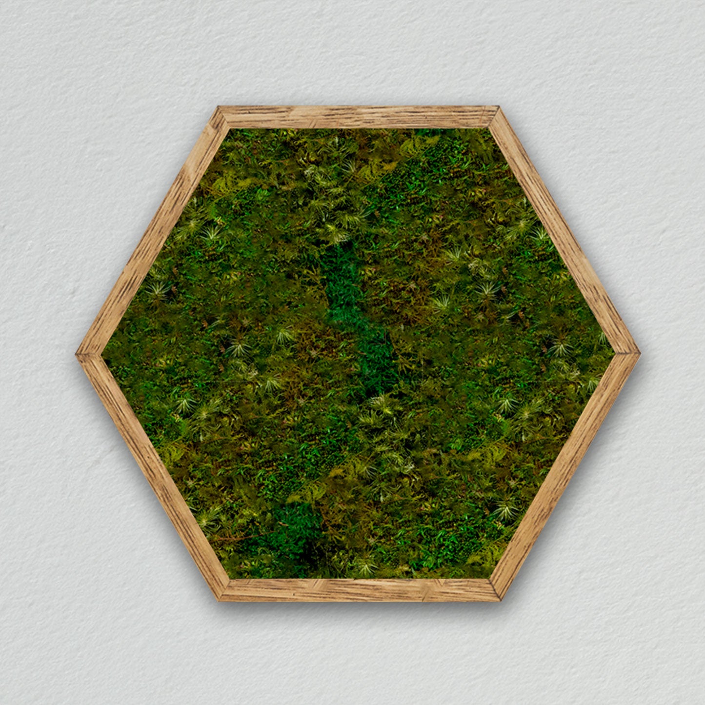 Hexagonal frame [light green] *Customized product