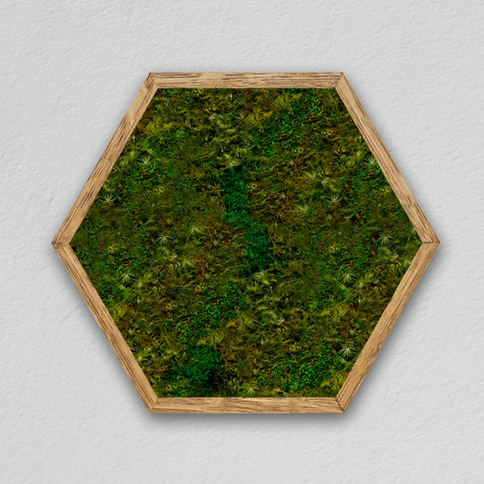Hexagonal frame [light green] *Customized product