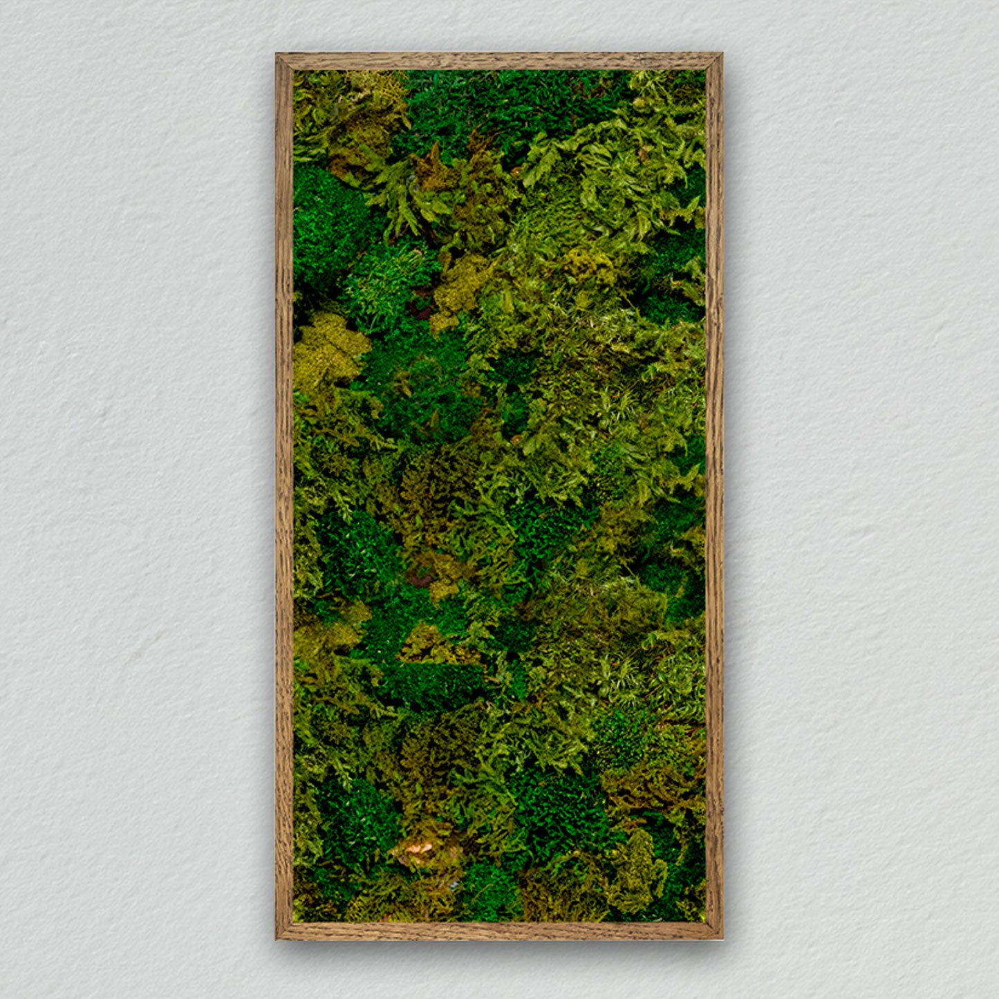 Rectangular frame [dark green] *Customized product