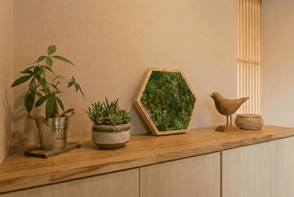 KOKE｜枯れない苔アート 六角形 Lサイズ（全3色）