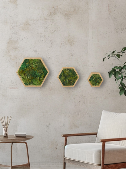 KOKE｜枯れない苔アート 六角形 Lサイズ（全3色）