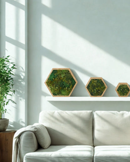 KOKE｜枯れない苔アート 六角形 Lサイズ（全3色）