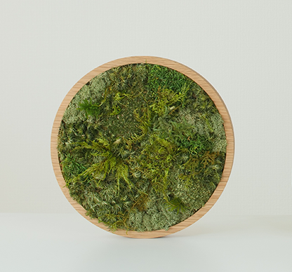 KOKE｜枯れない苔アート 丸型 Lサイズ（全3色）