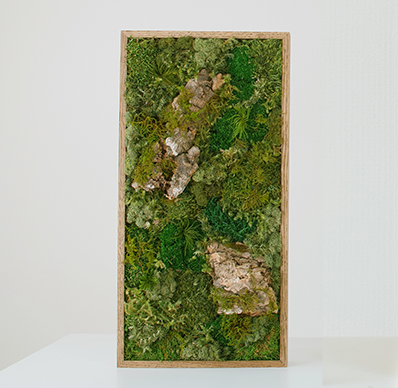 KOKE | Never-Dying Moss Art Rectangle, Large (3 Colors Available)