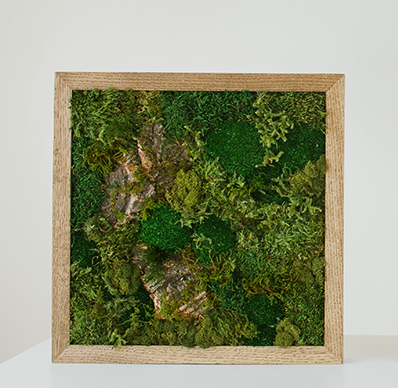 KOKE｜枯れない苔アート 正方形 Lサイズ（全3色）