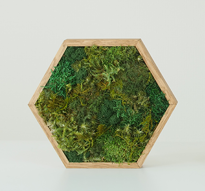 KOKE | Never-Dying Moss Art Square, Small (3 Colors Available)