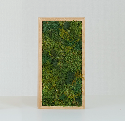 KOKE | Never-Dying Moss Art Rectangle, Small (3 Colors Available)