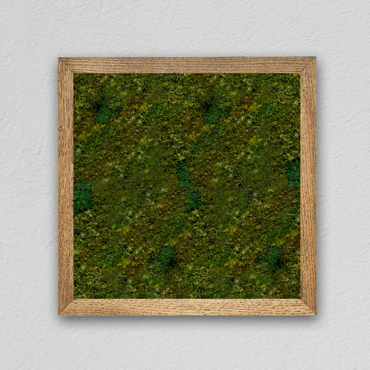 Square frame [light green] *Customized product