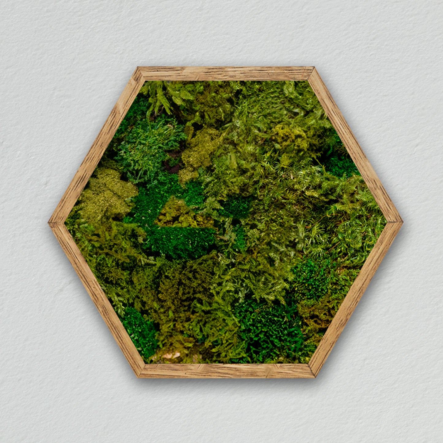 Hexagonal frame [dark green] *Customized product