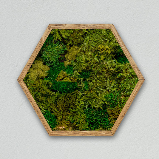 Hexagonal frame [dark green] *Customized product
