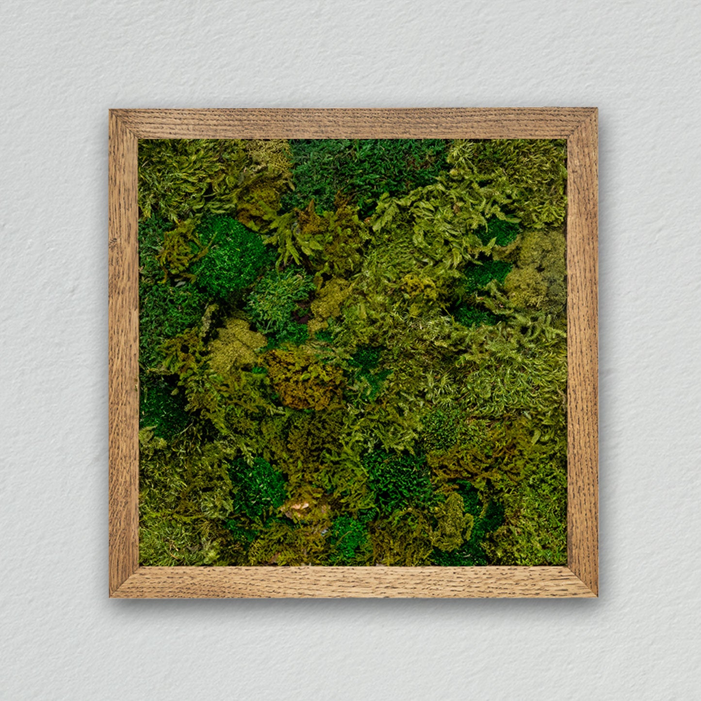 Square frame [dark green] *Customized product