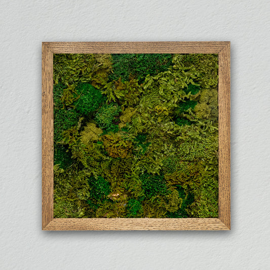 Square frame [dark green] *Customized product